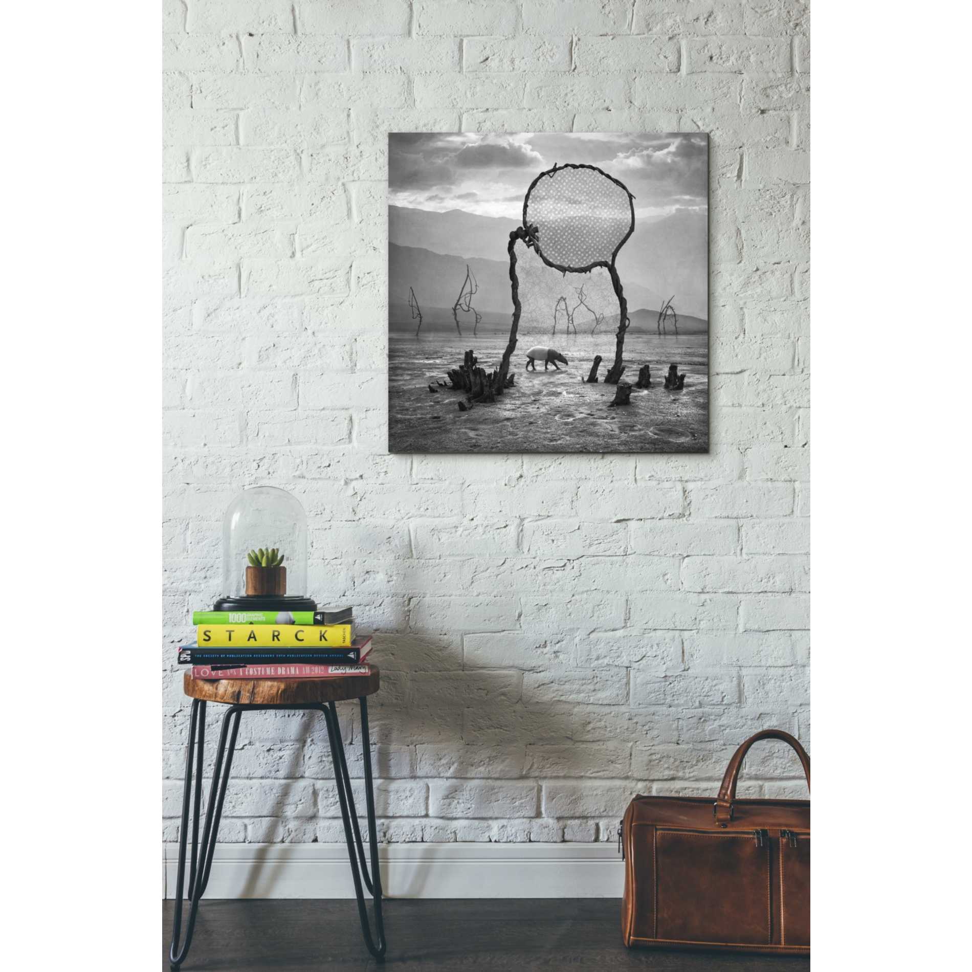 'Tapir' by Dariusz Klimczak, Giclee Canvas Wall Art