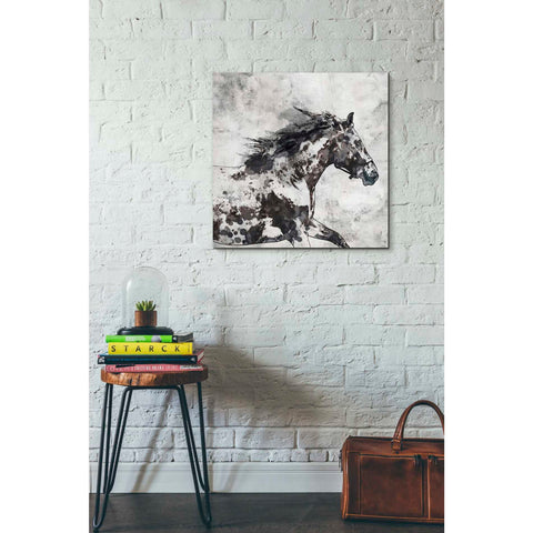 Image of 'Bay Horse 4' by Irena Orlov, Canvas Wall Art,26 x 26