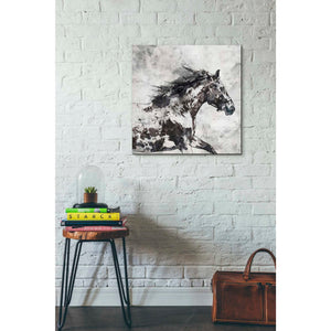 'Bay Horse 4' by Irena Orlov, Canvas Wall Art,26 x 26