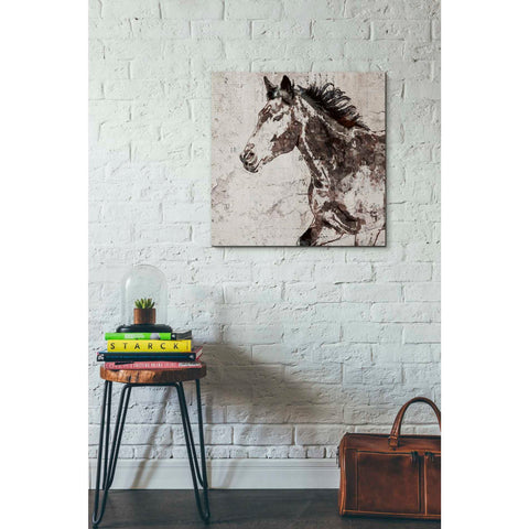 Image of 'Galloping Horse 2' by Irena Orlov, Canvas Wall Art,26 x 26