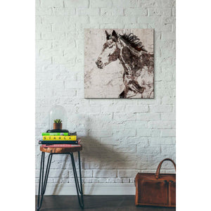 'Galloping Horse 2' by Irena Orlov, Canvas Wall Art,26 x 26