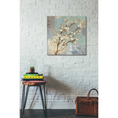 Image of 'Kyoto Blossoms I' by Silvia Vassileva, Canvas Wall Art,26 x 26