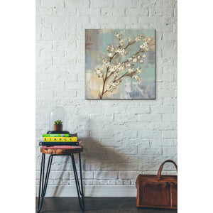 'Kyoto Blossoms I' by Silvia Vassileva, Canvas Wall Art,26 x 26