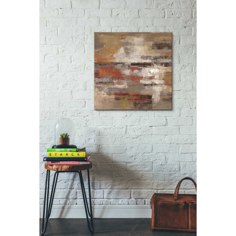 Image of 'Painted Desert' by Silvia Vassileva, Canvas Wall Art,26 x 26