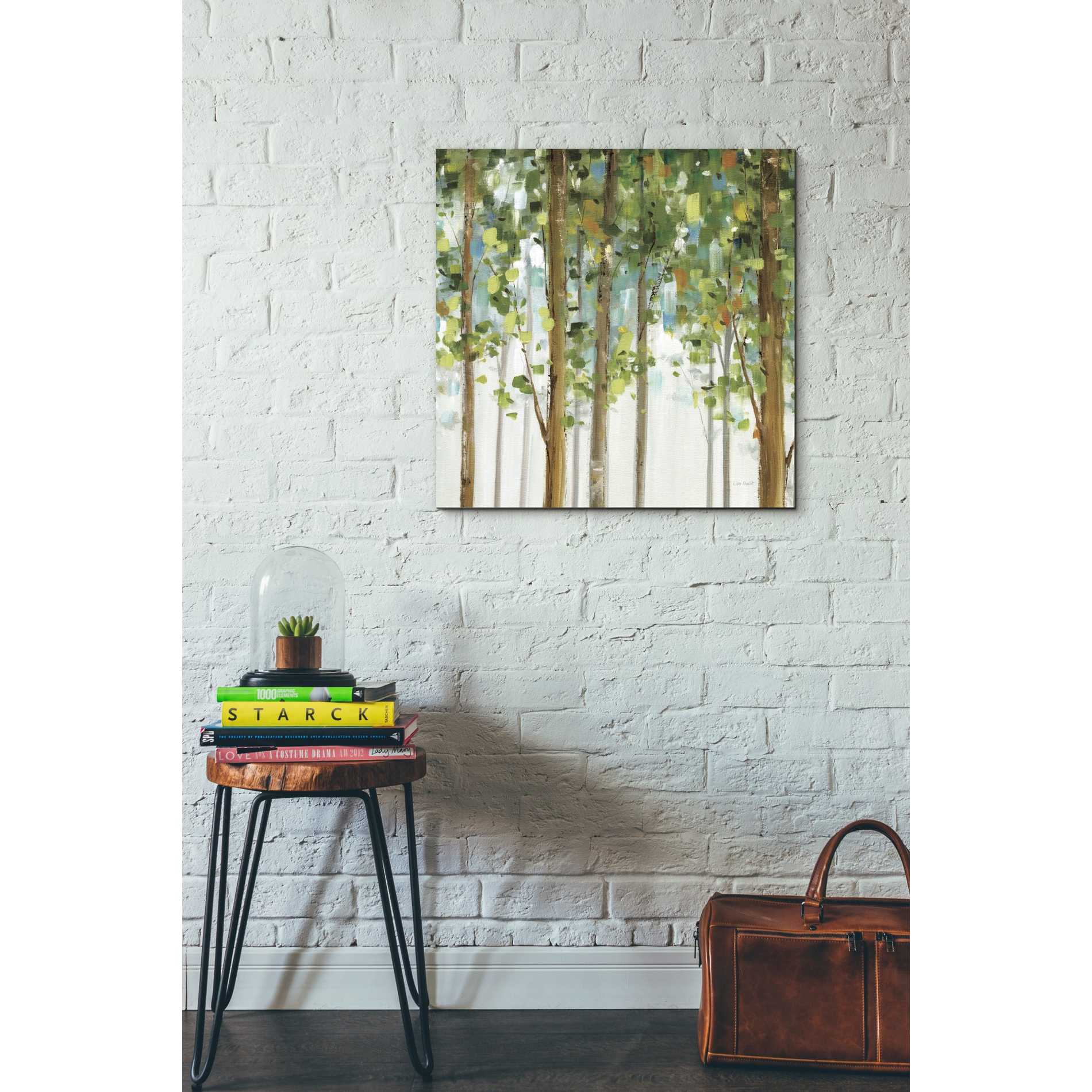 'Forest Study' by Lisa Audit, Canvas Wall Art,,26 x 26