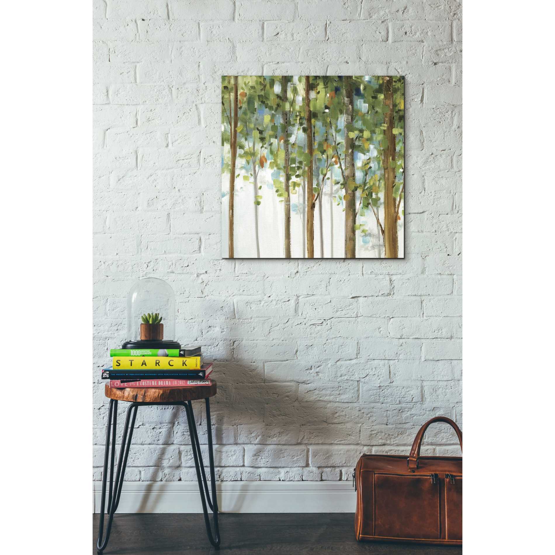 'Forest Study III' by Lisa Audit, Canvas Wall Art,,26 x 26