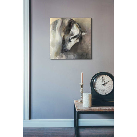 Image of 'Classical Horse' by Marilyn Hageman, Canvas Wall Art,26 x 26