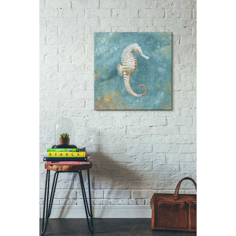 Image of 'Treasures From The Sea I' by Danhui Nai, Canvas Wall Art,26 x 26