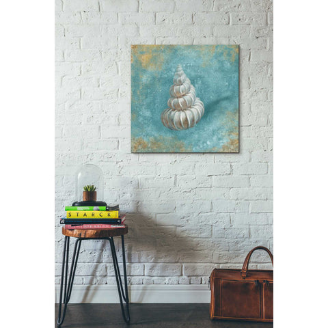 Image of 'Treasures From The Sea II' by Danhui Nai, Canvas Wall Art,26 x 26