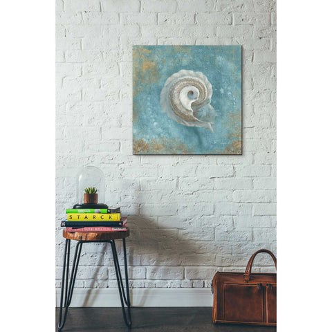 Image of 'Treasures From The Sea III' by Danhui Nai, Canvas Wall Art,26 x 26