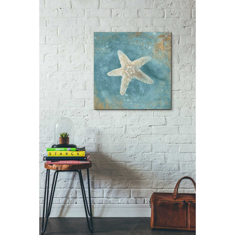 Image of 'Treasures From The Sea IV' by Danhui Nai, Canvas Wall Art,26 x 26