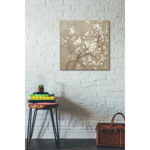 Image of 'White Cherry Blossom I Neutral' by Danhui Nai, Canvas Wall Art,26 x 26