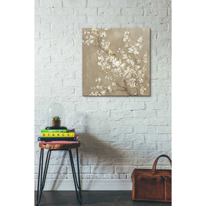 'White Cherry Blossom II Neutral' by Danhui Nai, Canvas Wall Art,26 x 26