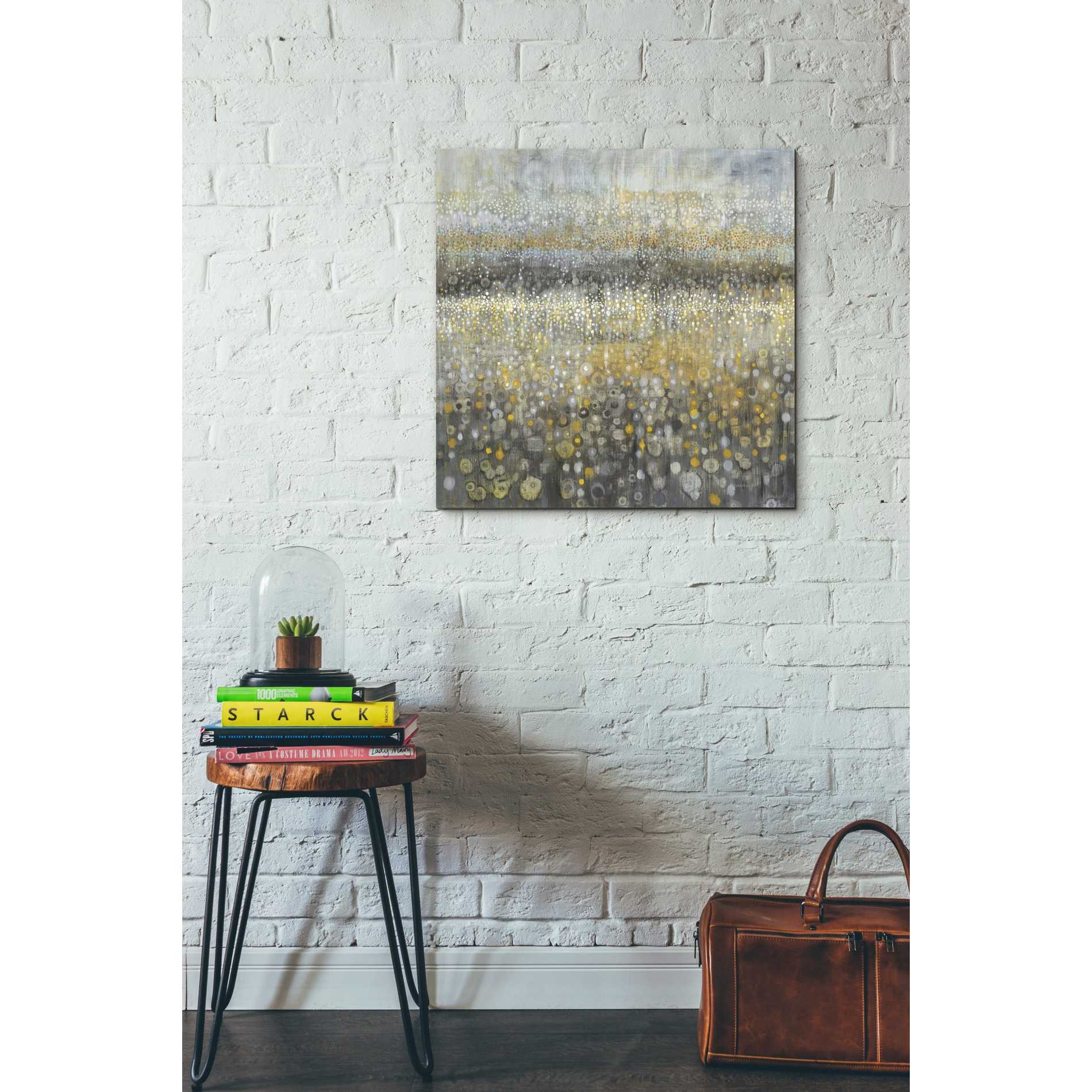 'Rain Abstract II' by Danhui Nai, Canvas Wall Art,26 x 26