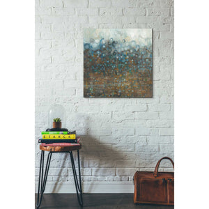 'Blue And Bronze Dots' by Danhui Nai, Canvas Wall Art,26 x 26