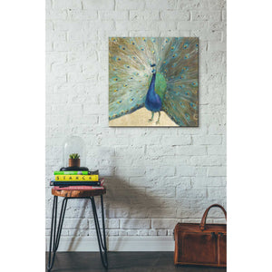 'Blue Peacock' by Danhui Nai, Canvas Wall Art,26 x 26