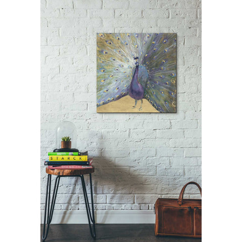 Image of 'Purple And Gold Peacock' by Danhui Nai, Canvas Wall Art,26 x 26