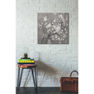 'White Cherry Blossom I on Grey' by Danhui Nai, Canvas Wall Art,26 x 26