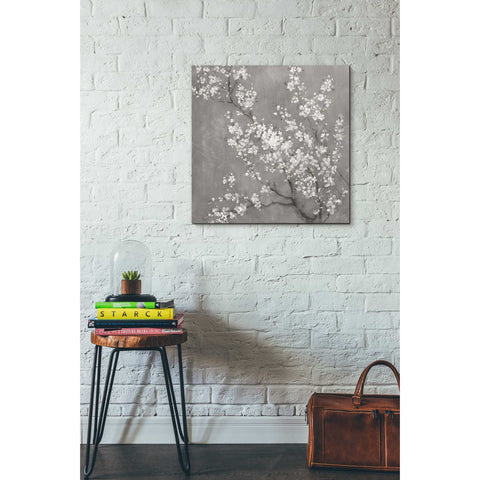 Image of 'White Cherry Blossom II on Grey' by Danhui Nai, Canvas Wall Art,26 x 26