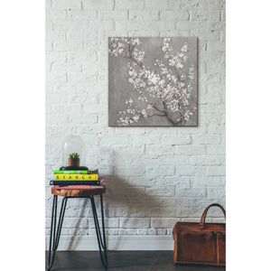 'White Cherry Blossom II on Grey' by Danhui Nai, Canvas Wall Art,26 x 26