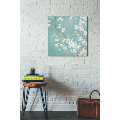 Image of 'White Cherry Blossom II on Blue' by Danhui Nai, Canvas Wall Art,26 x 26