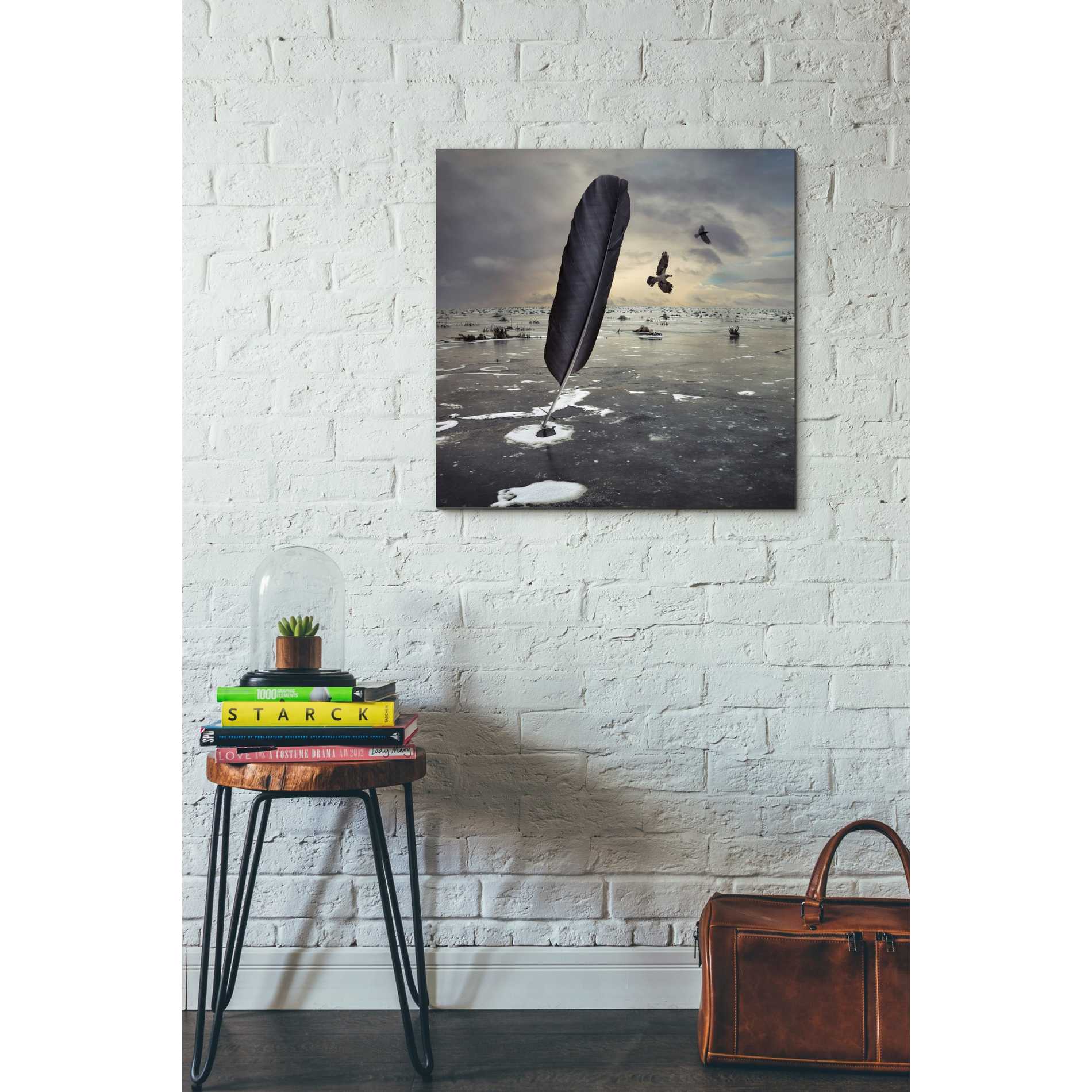 'Featherland' by Dariusz Klimczak, Canvas Wall Art,26 x 26