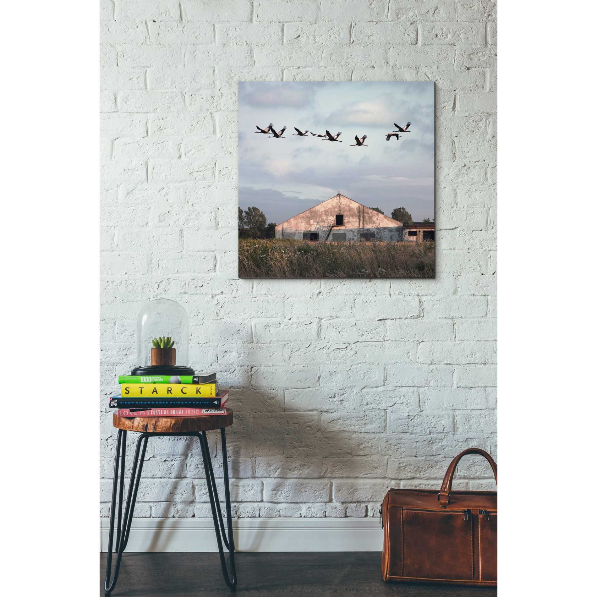 'Oktet' by Dariusz Klimczak, Canvas Wall Art,26 x 26