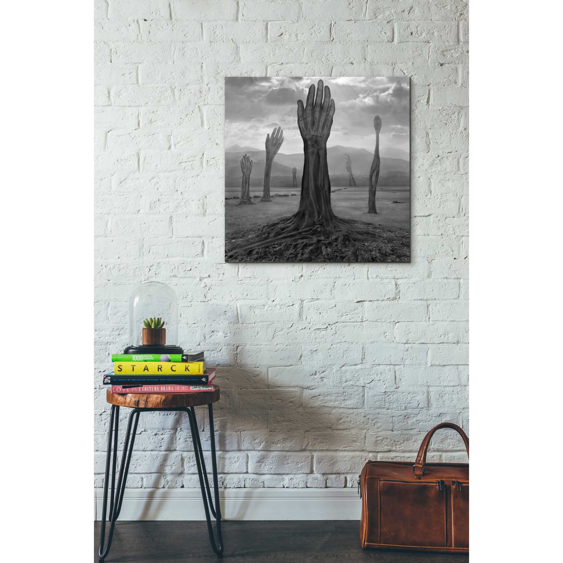 'Rentgen' by Dariusz Klimczak, Canvas Wall Art,26 x 26