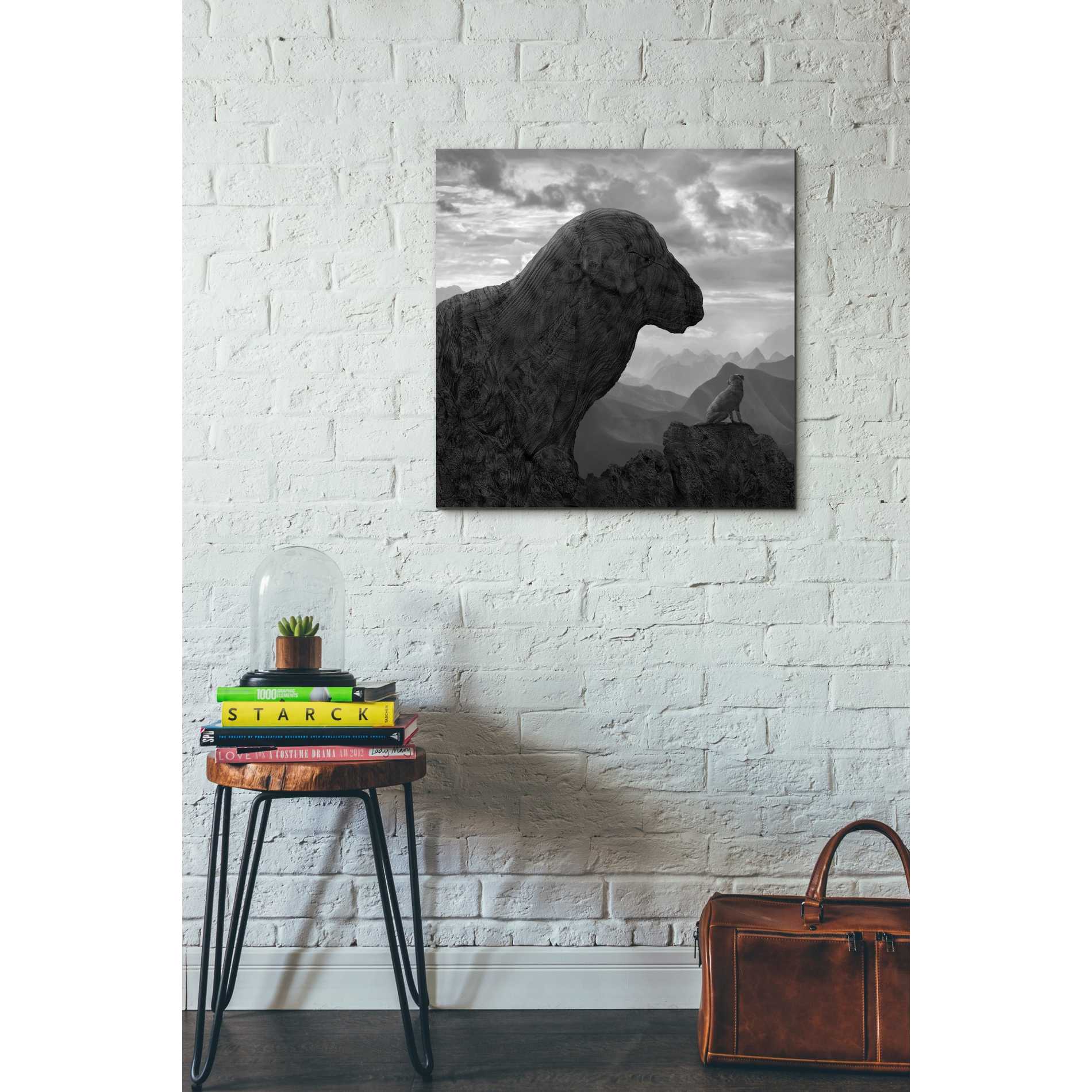 'Dog Rock' by Dariusz Klimczak, Canvas Wall Art,26 x 26