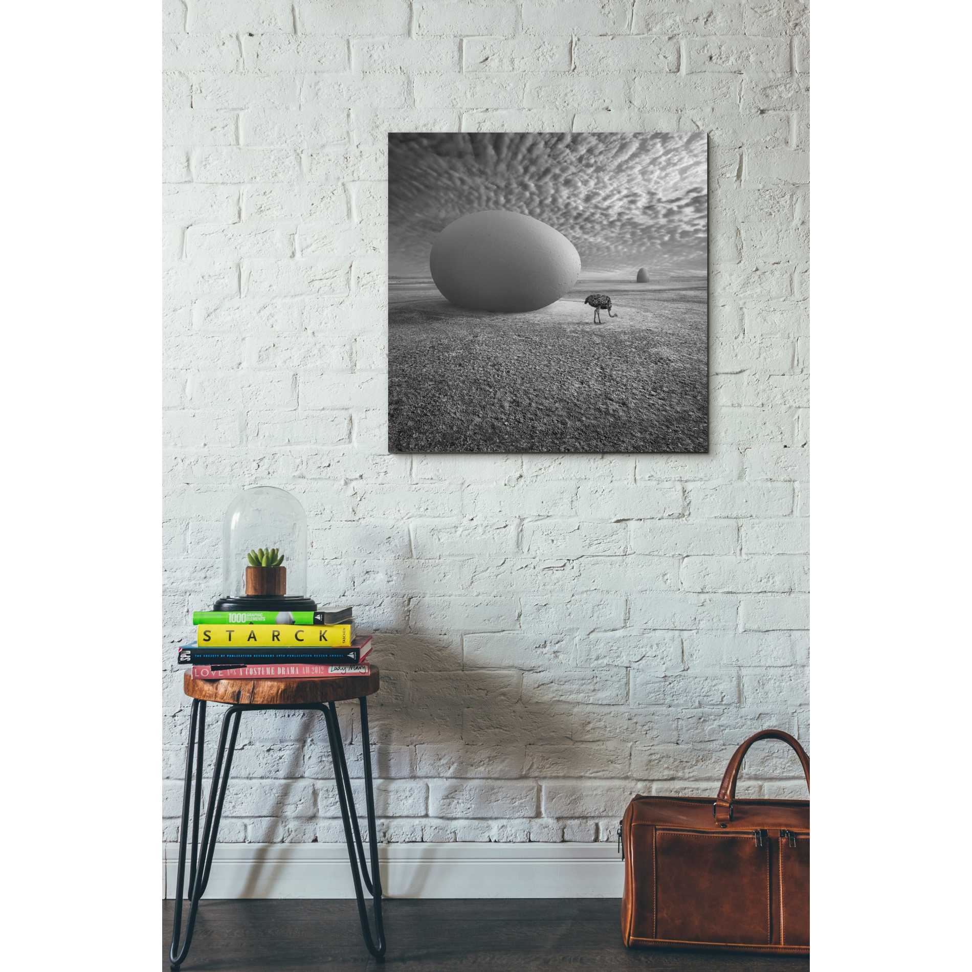 'EggO' by Dariusz Klimczak, Canvas Wall Art,26 x 26