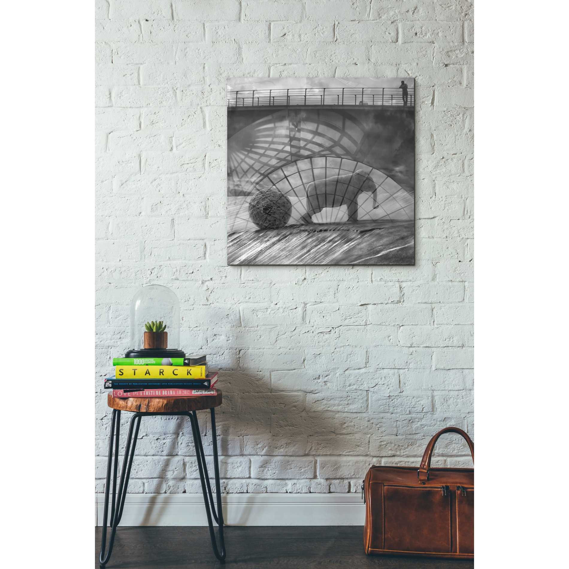 'Kingandi' by Dariusz Klimczak, Canvas Wall Art,26 x 26