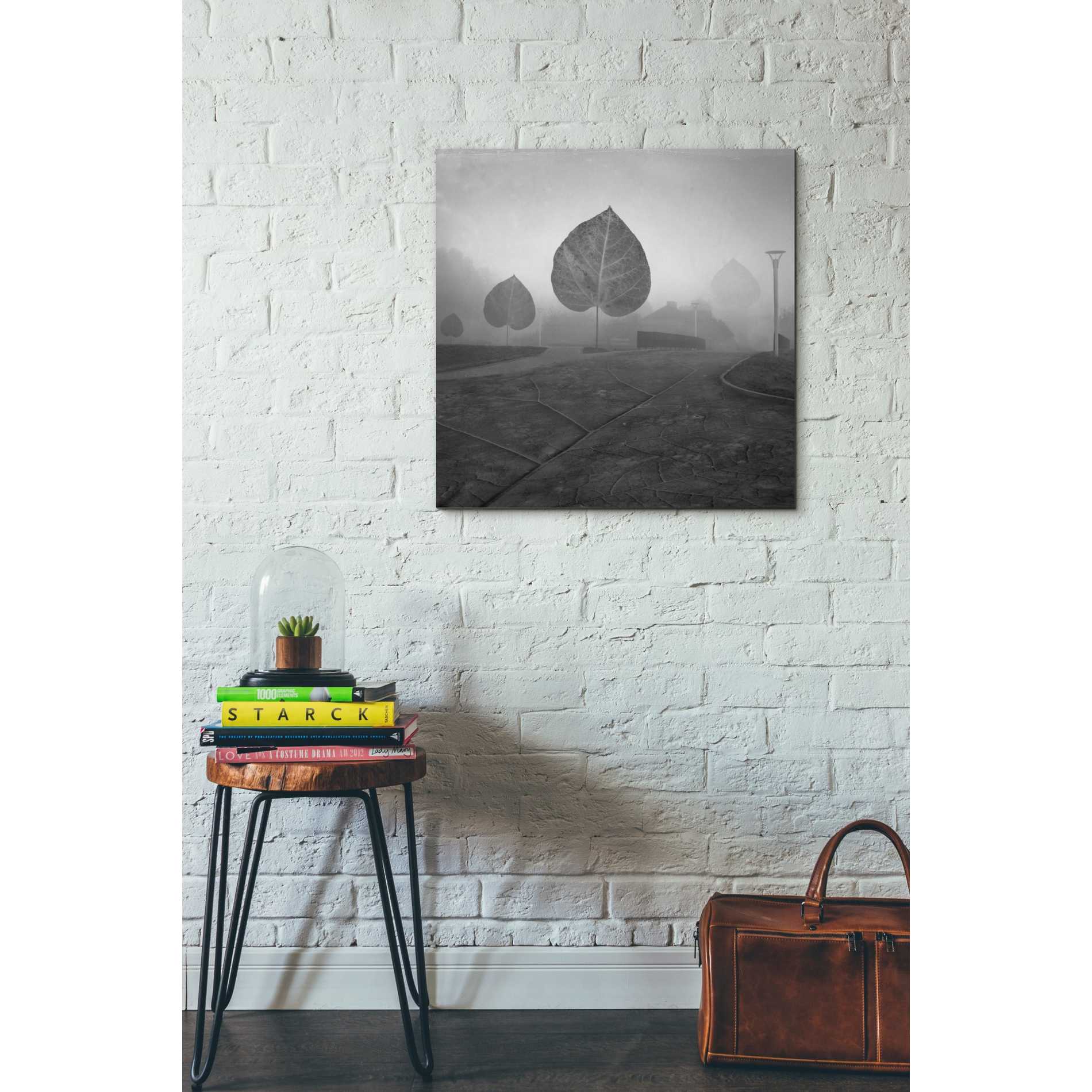 'Leave Alley' by Dariusz Klimczak, Canvas Wall Art,26 x 26