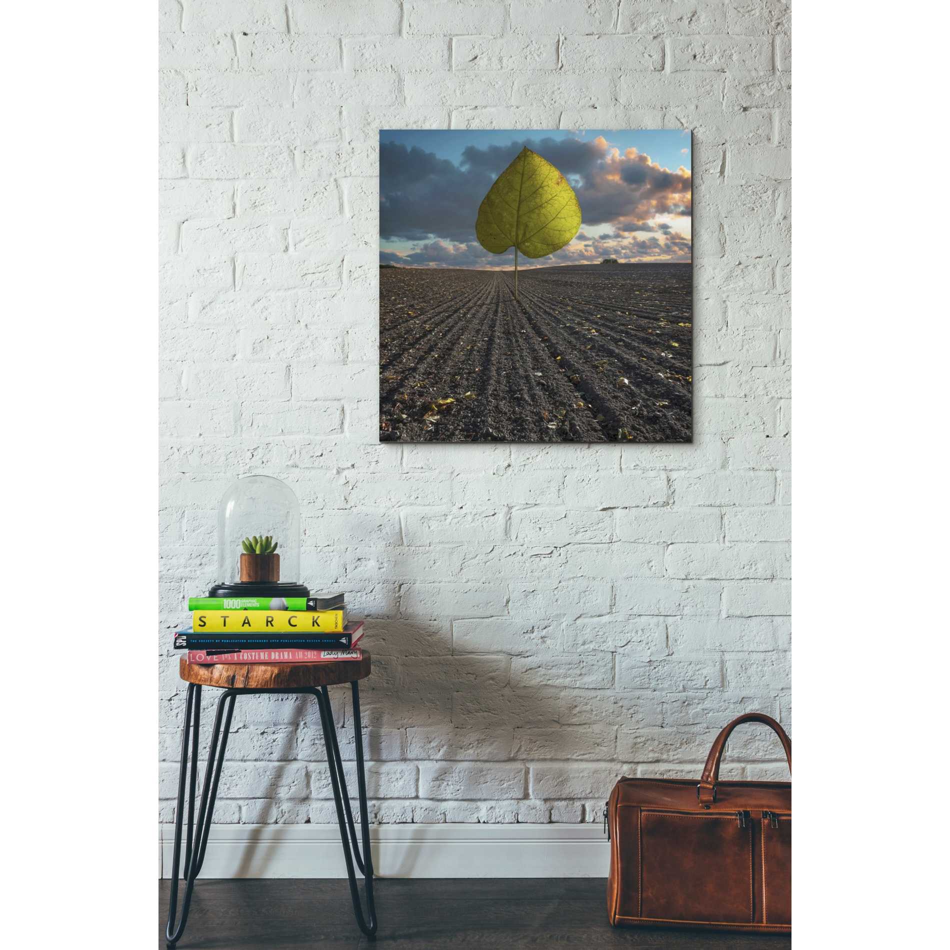 'Listen to Listek' by Dariusz Klimczak, Canvas Wall Art,26 x 26