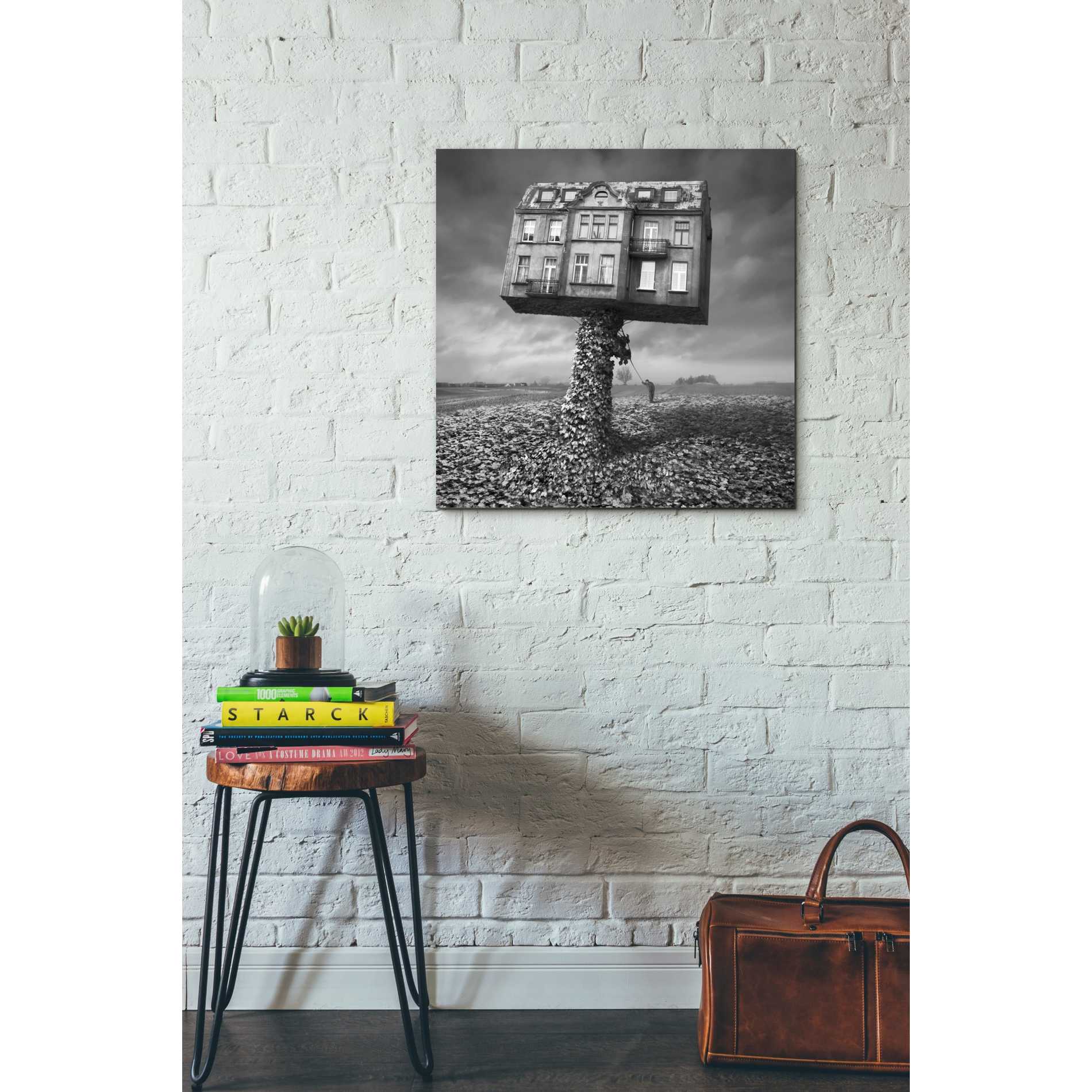 'Mad Architect' by Dariusz Klimczak, Canvas Wall Art,26 x 26