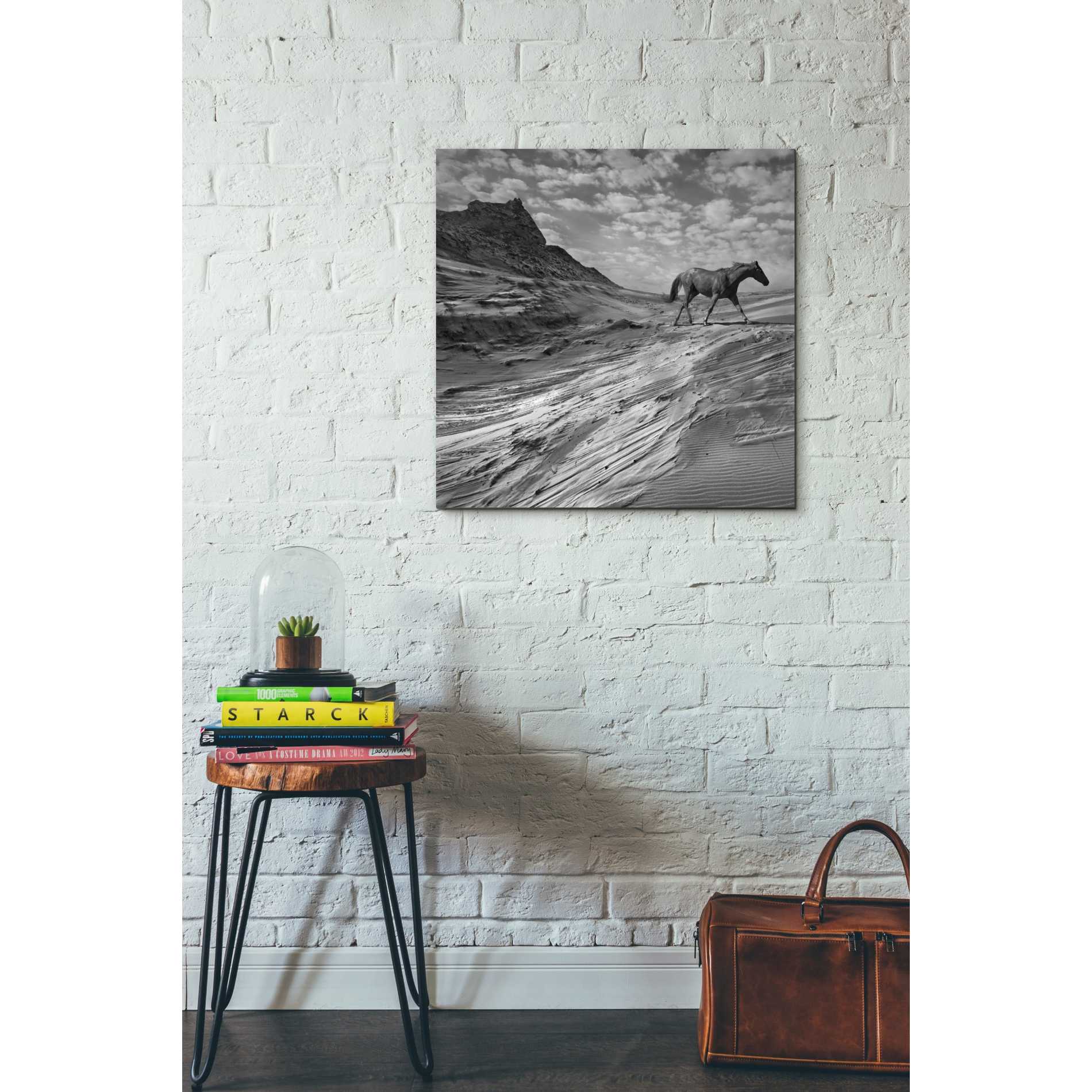 'Mustang Mountain' by Dariusz Klimczak, Canvas Wall Art,26 x 26