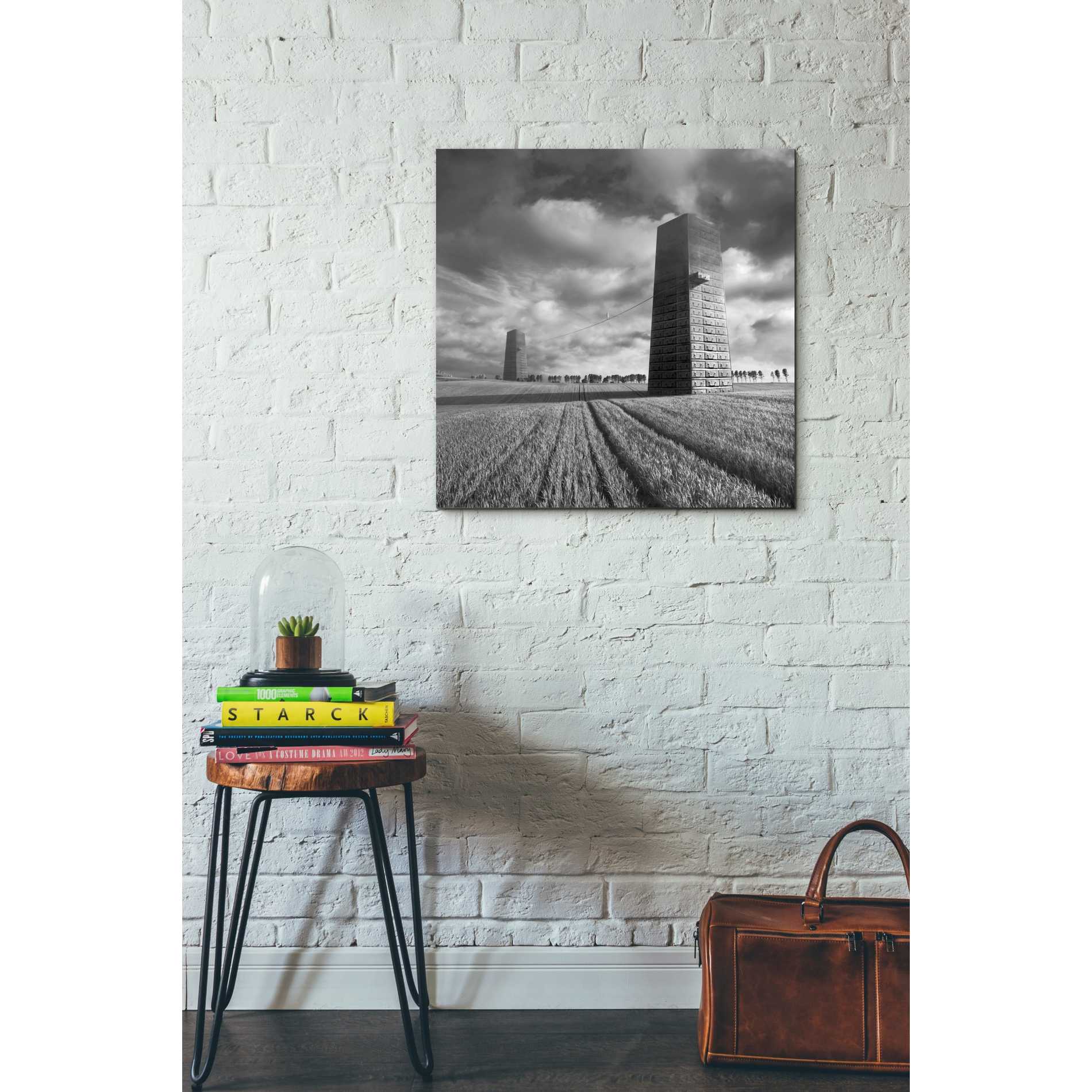 'Szflandia' by Dariusz Klimczak, Canvas Wall Art,26 x 26