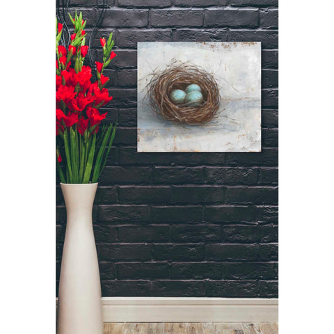 Image of 'Rustic Bird Nest I' by Ethan Harper Canvas Wall Art,30 x 26