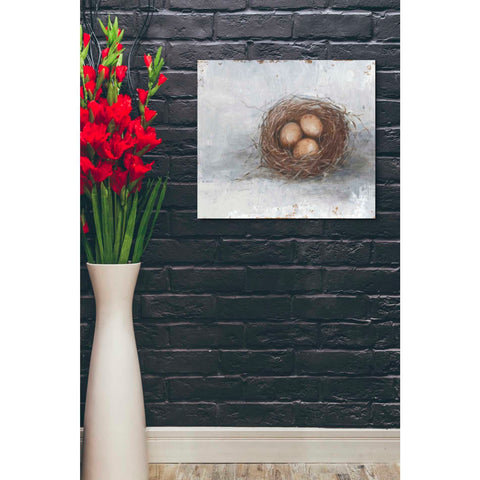 Image of 'Rustic Bird Nest II' by Ethan Harper Canvas Wall Art,30 x 26
