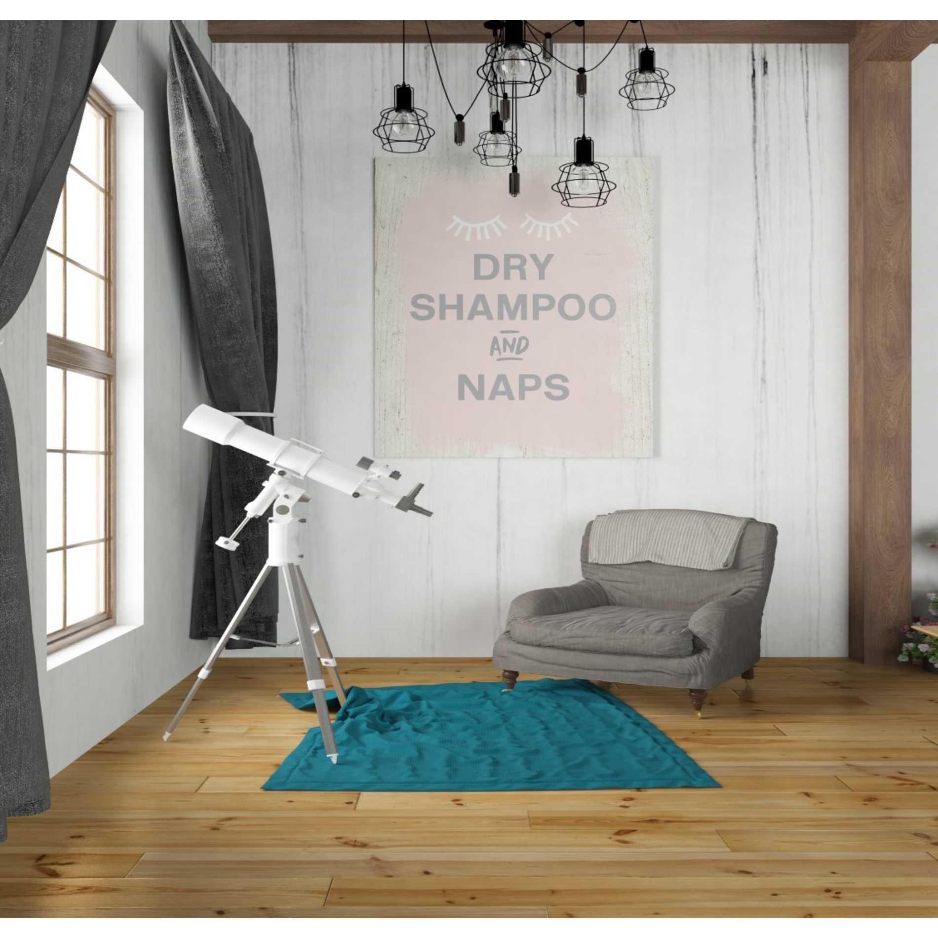 'Dry Shampoo And Naps' by Linda Woods, Canvas Wall Art,26 x 30