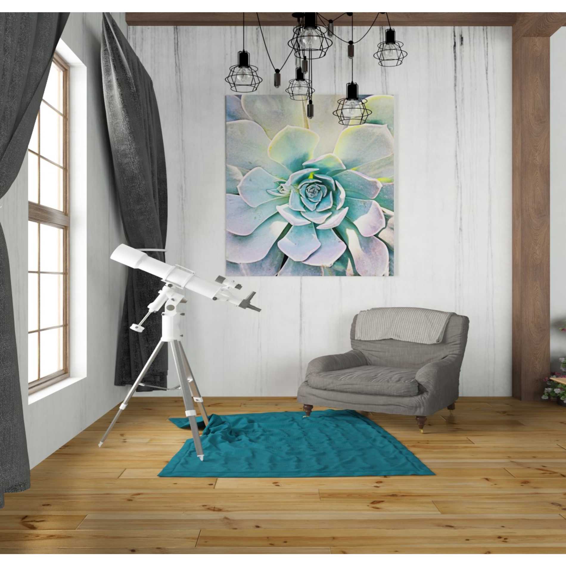 'Unique Succulent' by Irena Orlov, Canvas Wall Art,26 x 30