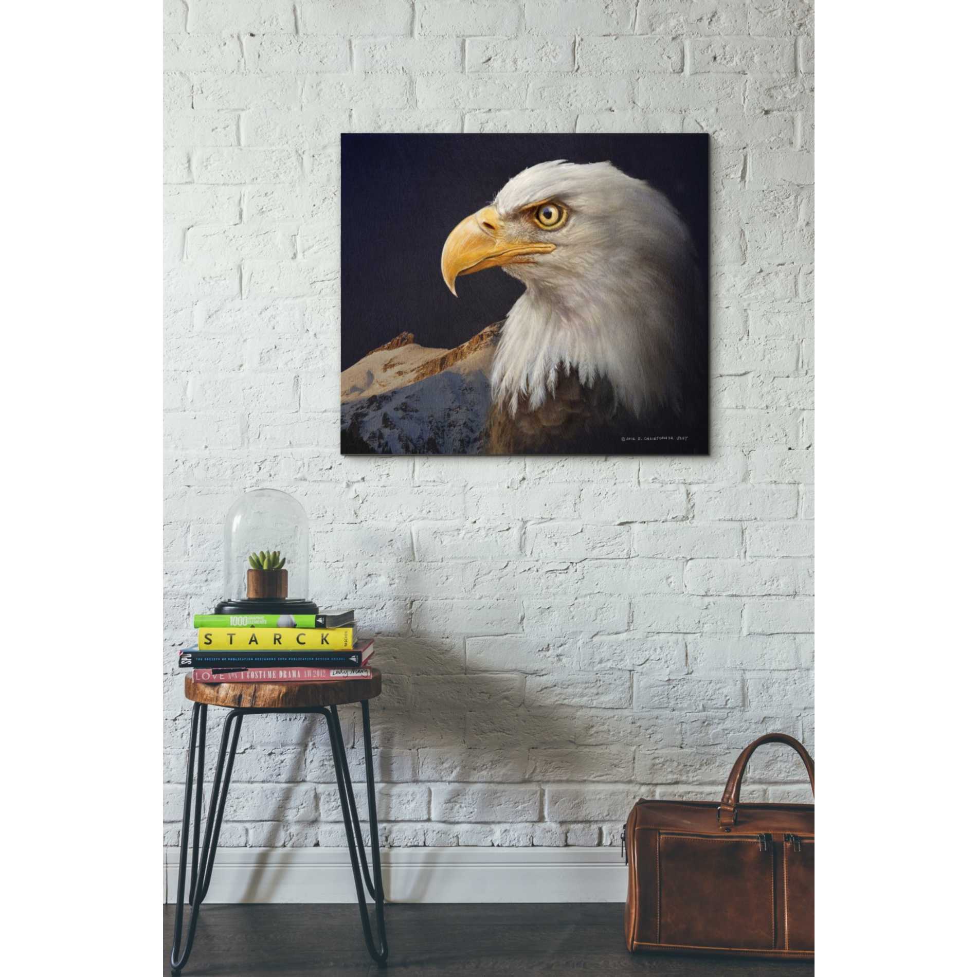'Bald Eagle Study' by Chris Vest, Giclee Canvas Wall Art