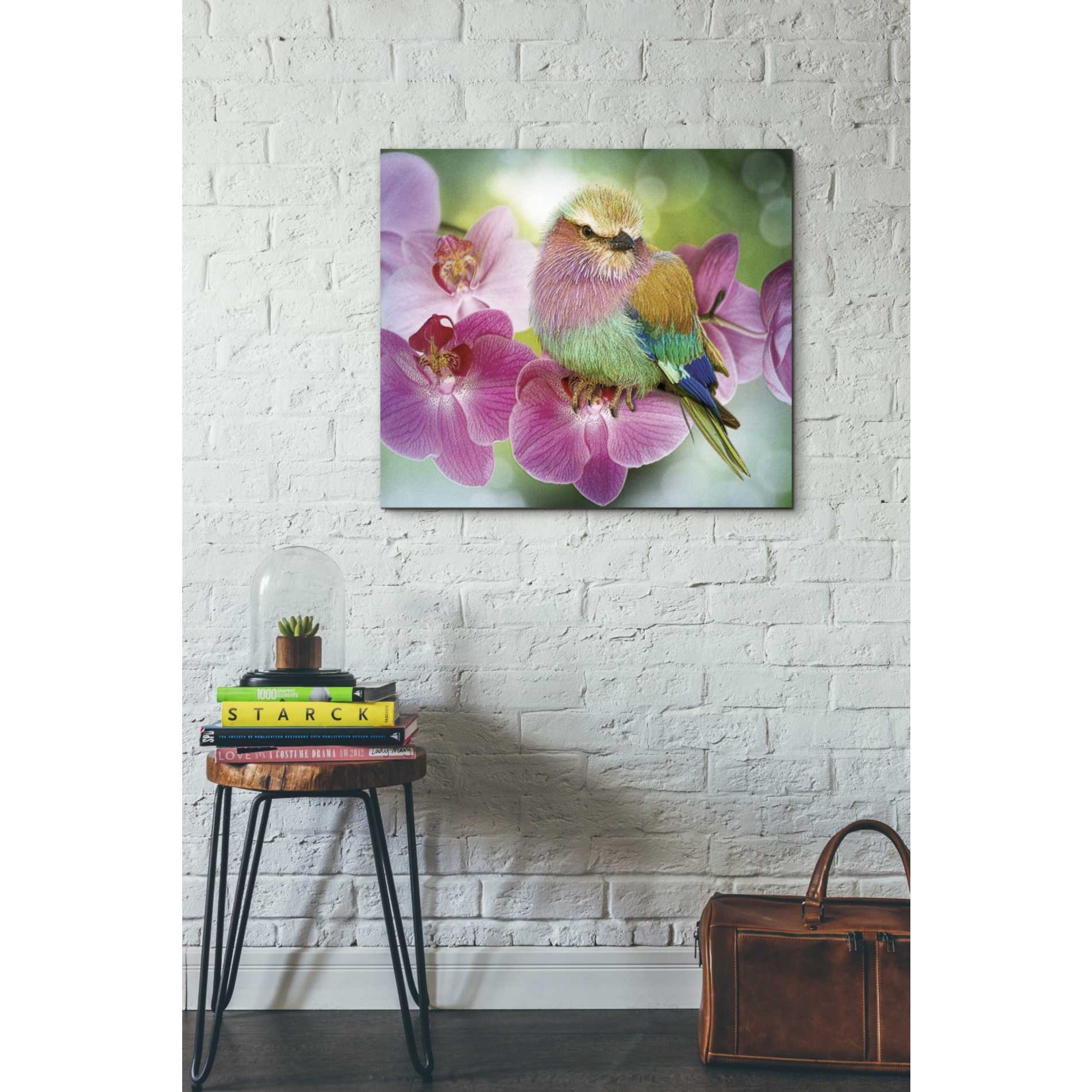 'Pretty Boy' by Steve Hunziker, Canvas Wall Art,30 x 26