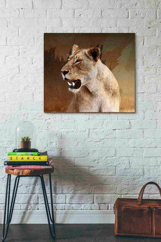 Image of 'Wildness Lioness' by Karen Smith, Canvas Wall Art,30x26