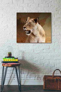 'Wildness Lioness' by Karen Smith, Canvas Wall Art,30x26
