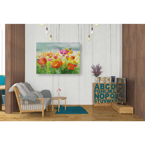 Image of 'Meadow Poppies' by Danhui Nai, Canvas Wall Art,26 x 34