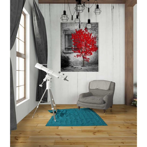 Image of 'Passion' Canvas Wall Art,26 x 34