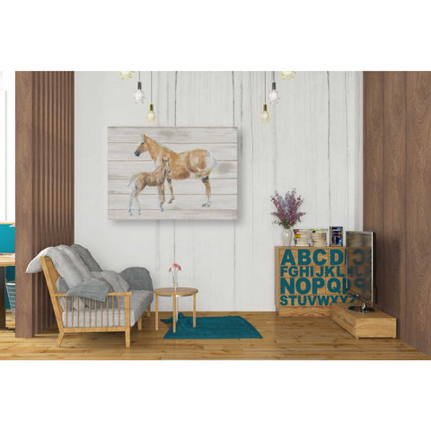 Image of 'Horse and Colt on Wood' by Emily Adams, Canvas Wall Art,26 x 34