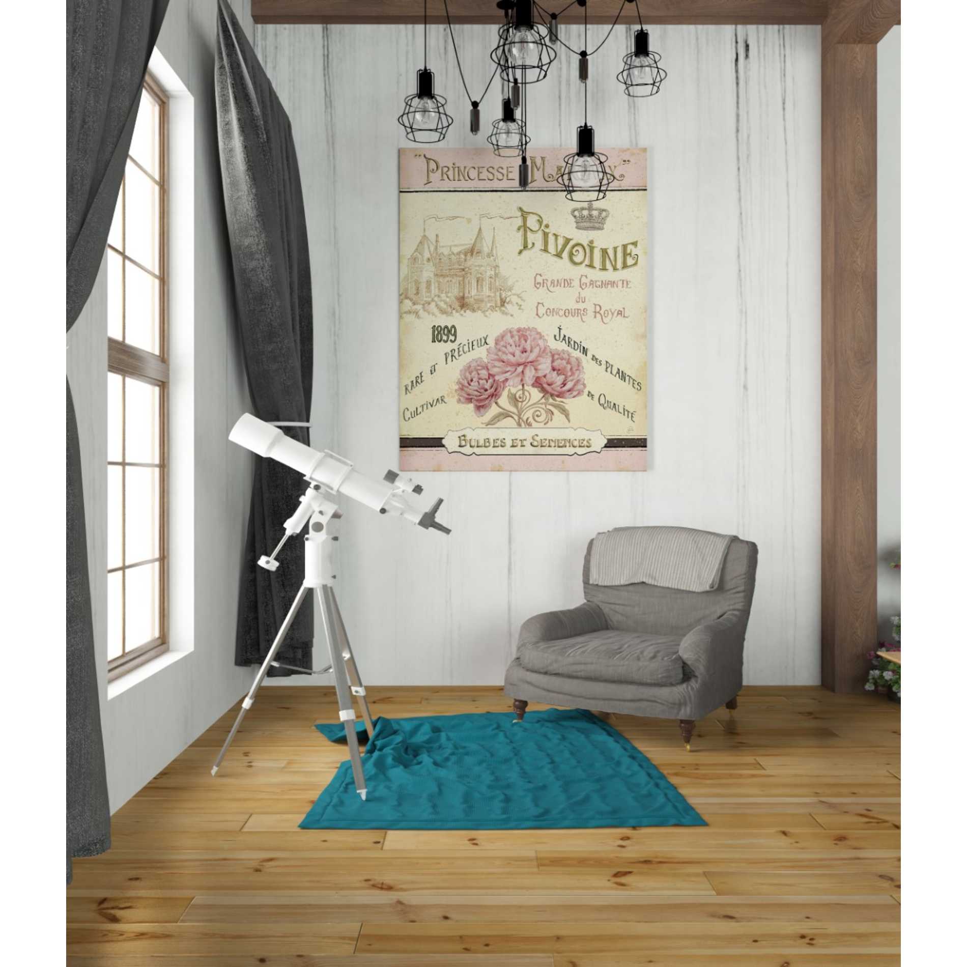 'French Seed Packet III' by Daphne Brissonet, Canvas Wall Art,26 x 34