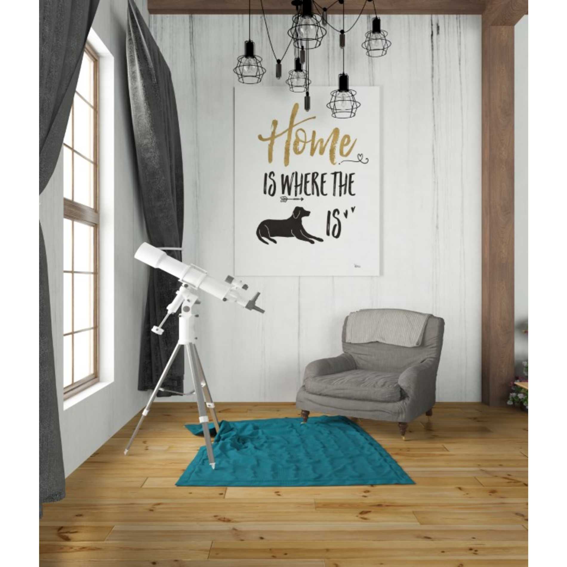 'Pet Love I' by Veronique Charron, Canvas Wall Art,26 x 34