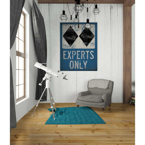 Image of 'Experts Only Blue' by Ryan Fowler, Canvas Wall Art,26 x 34
